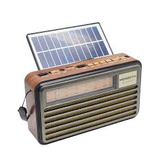 Solar Radio